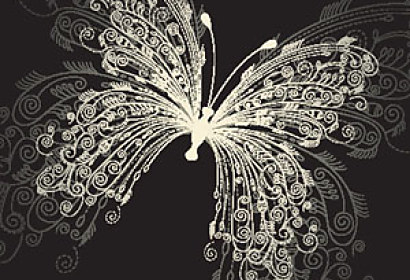 Fototapeta Butterfly Abstract  5076